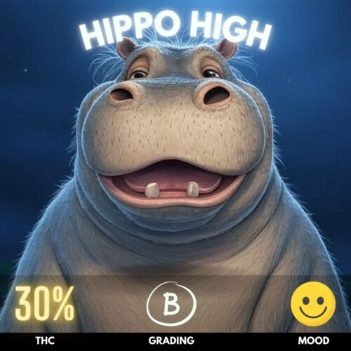 Hippo High