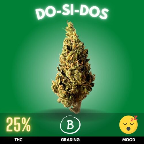 Do-Si-Dos is a potent Indica-dominant hybrid cannabis strain renowned for its relaxing effects and high THC content