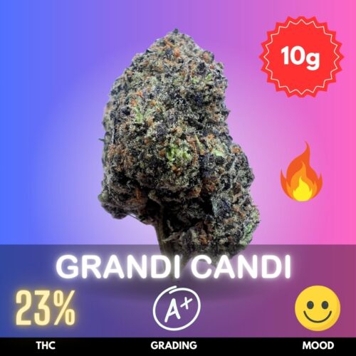 Grandi Candi typically features a moderate to high THC content, ranging from 18% to 24%,