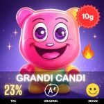 Grandi Candi typically features a moderate to high THC content, ranging from 18% to 24%,