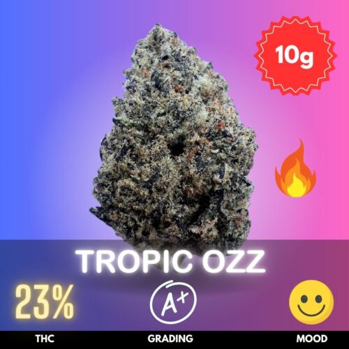 Tropic Ozz typically features a moderate to high THC content, ranging from 18% to 24%