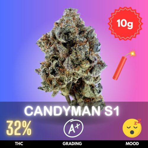 Candyman S1 is a powerhouse indica-dominant hybrid boasting an exceptionally high 32% THC