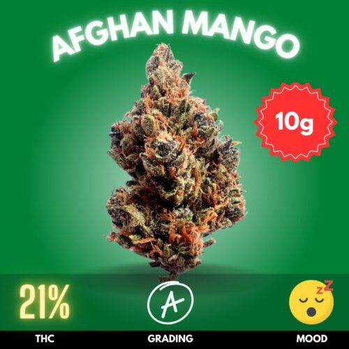Afghan Mango is a decadent Indica-dominant strain that perfectly balances classic Afghan landrace power with fruity, tropical indulgence. With THC levels averaging 21%