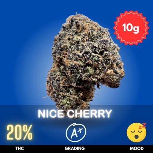 Nice Cherry is a flavorful Indica-leaning hybrid that lives up to its name with a smooth cherry punch and deeply soothing effects