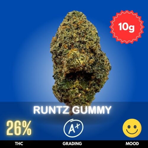 Runtz Gummy is an exquisite cannabis flower, expertly cultivated indoors by one of Thailand’s top artisan growers