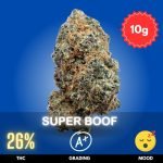 Super Boof is an extraordinary cannabis flower, masterfully grown indoors by one of Thailand’s top artisan cultivators