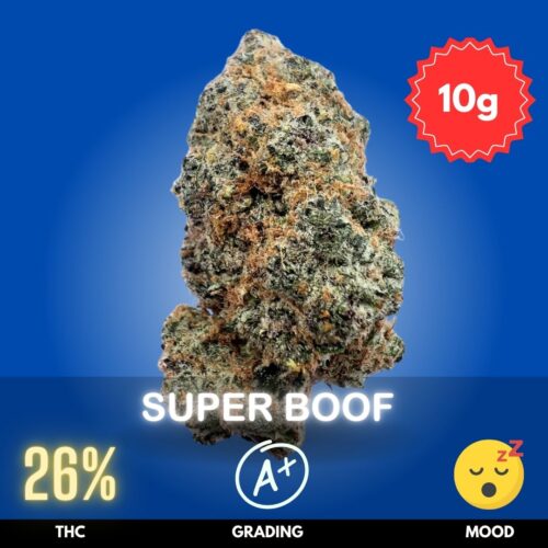 Super Boof is an extraordinary cannabis flower, masterfully grown indoors by one of Thailand’s top artisan cultivators