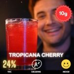 Tropicana Cherry is a premium cannabis flower, meticulously indoor-grown by one of Thailand’s finest artisan cultivators
