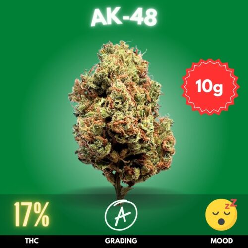 AK-48 is a legendary hybrid born in the 1990s from Nirvana Seeds, crafted by merging Colombian Gold, Thai, Mexican, and Afghani landraces