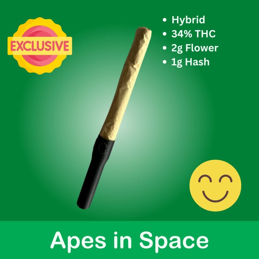 Apes in Space (34%)