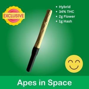 Apes in Space (34%)