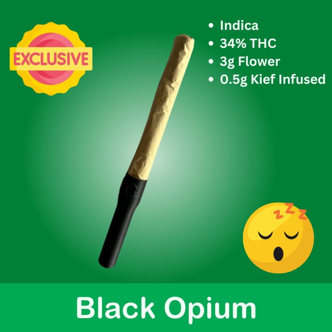 Black Opium Cannagar (34%)