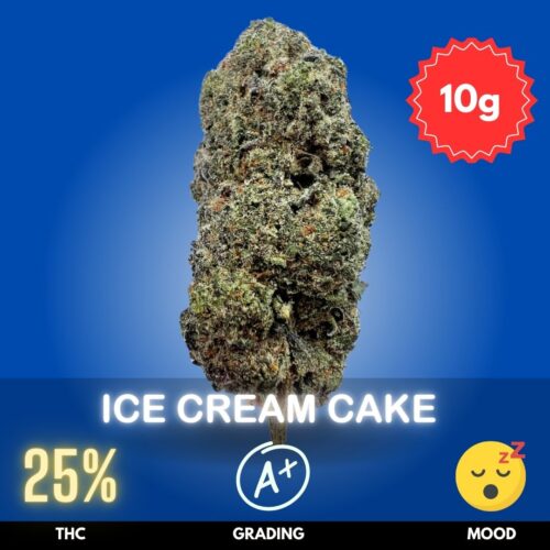 Ice Cream Cake is a highly popular and indulgent cannabis flower in Thailand.