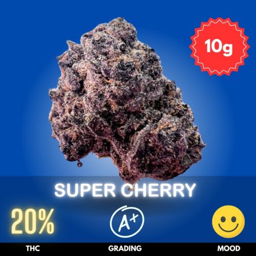 Super Cherry is a remarkable cannabis flower in Thailand