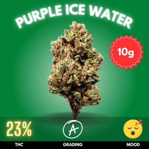 Purple Ice Water cannabis strain is a rare hybrid recognized for its vibrant purple hues, calming effects, and complex flavor profile. It is an Indica-dominant cultivar