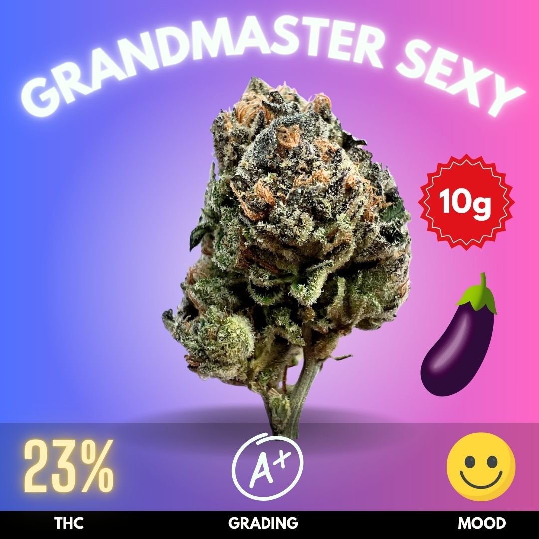 grandmaster-sexy-strain-thailand-hero Grandmaster Sexy (aka Grand Master Sex) is an exceptional cannabis strain renowned for its unique effects and therapeutic benefits. One of the standout features of Grandmaster Sexy is its reputed aphrodisiac effects
