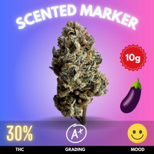 Scented Marker is a balanced hybrid strain developed by Seed Junky Genetics, resulting from the cross between Permanent Marker and Pineapple Fruz. This cultivar boasts a high THC content around 30%