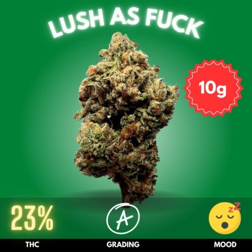 Lush as Fuck is a meticulously bred hybrid from Annunaki Genetics, created by crossing the richly flavorful Forbidden Fruit with the powerfully soothing Platinum Kush Mints
