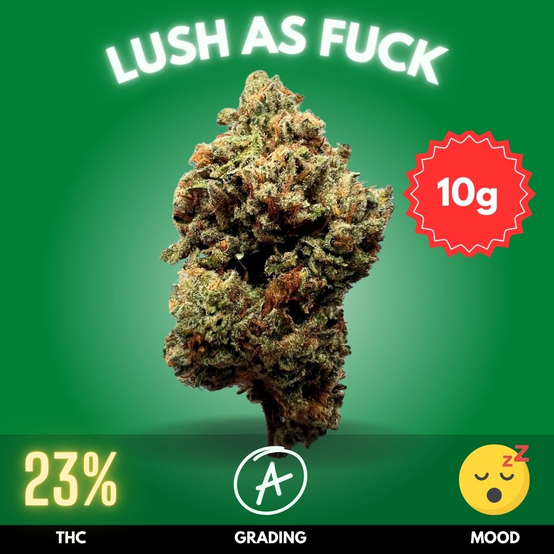 lush-as-fuck-strain-thailand-10-new Lush as Fuck is a meticulously bred hybrid from Annunaki Genetics, created by crossing the richly flavorful Forbidden Fruit with the powerfully soothing Platinum Kush Mints