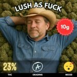 lush-as-fuck-strain-thailand-hero-10 Lush as Fuck is a meticulously bred hybrid from Annunaki Genetics, created by crossing the richly flavorful Forbidden Fruit with the powerfully soothing Platinum Kush Mints