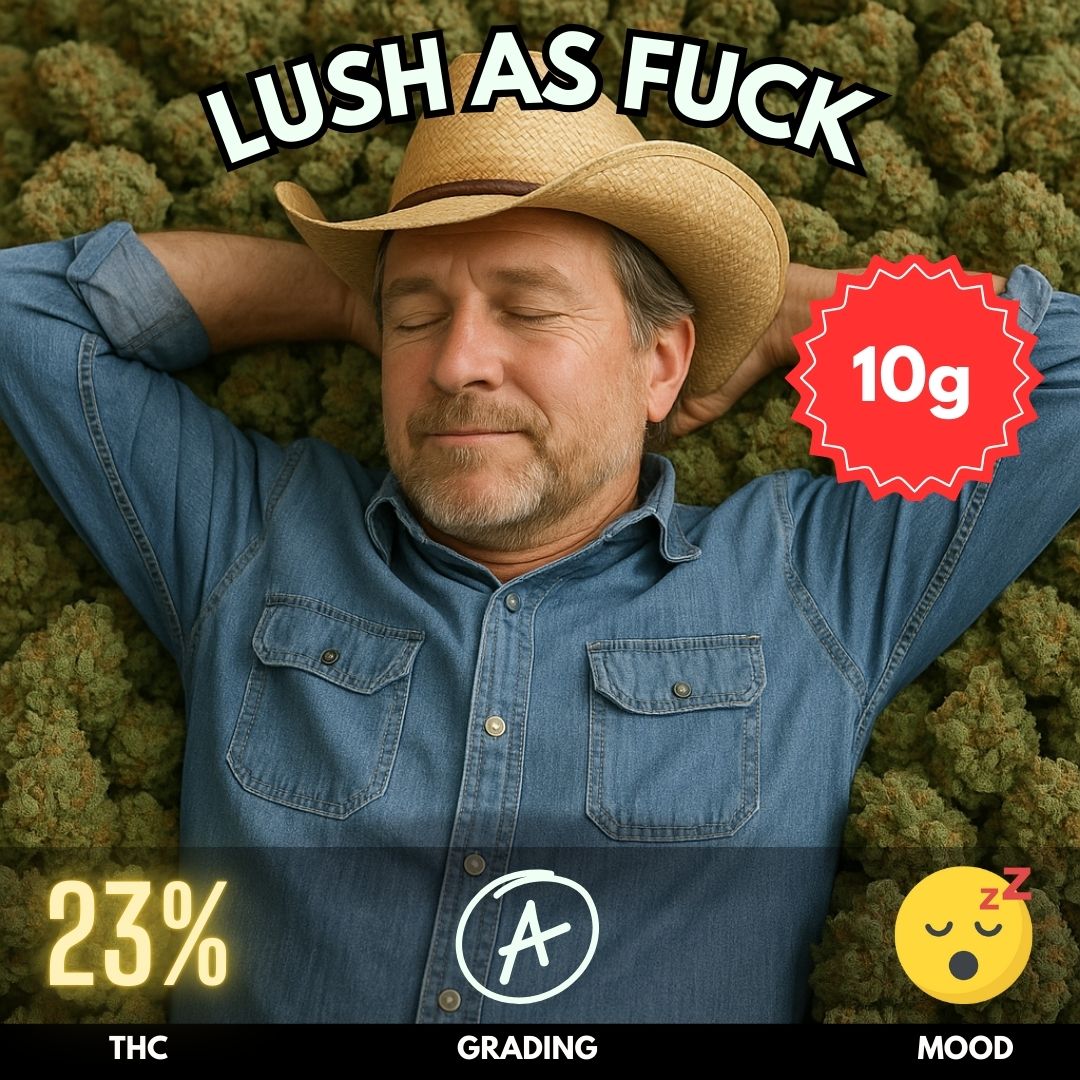 Lush as Fuck is a meticulously bred hybrid from Annunaki Genetics, created by crossing the richly flavorful Forbidden Fruit with the powerfully soothing Platinum Kush Mints