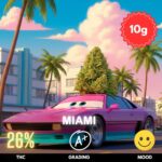 Miami strain is a pure Sativa powerhouse renowned for its energizing and uplifting effects. With a striking THC content around 26% and approximately 2% CBD,