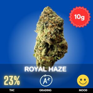 Royal Haze is a Sativa-dominant cannabis strain delivering an energetic and uplifting experience. With a THC content of 23%