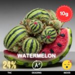 Watermelon is an Indica-dominant strain, celebrated for its soothing effects and fruity, melon-sweet aroma. This cultivar typically tests at 24% THC
