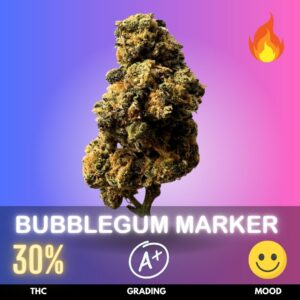 Bubblegum Marker