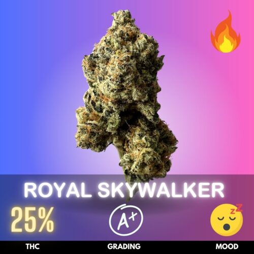 Royal Skywalker