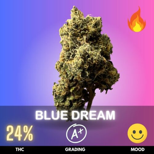 Blue Dream