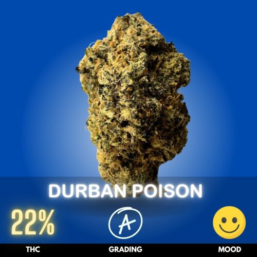 Durban Poison
