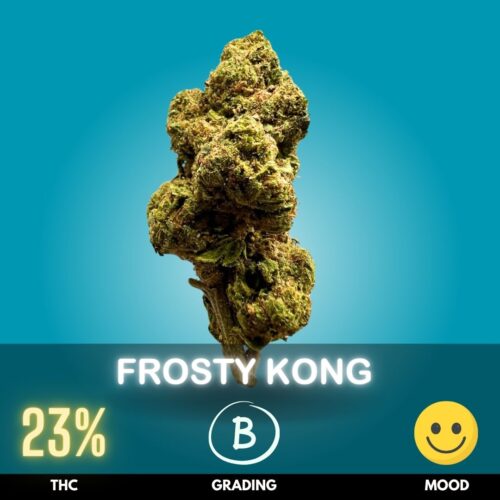 Frosty Kong
