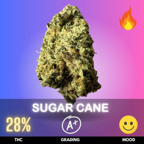 Sugar Cane (Top Shelf)