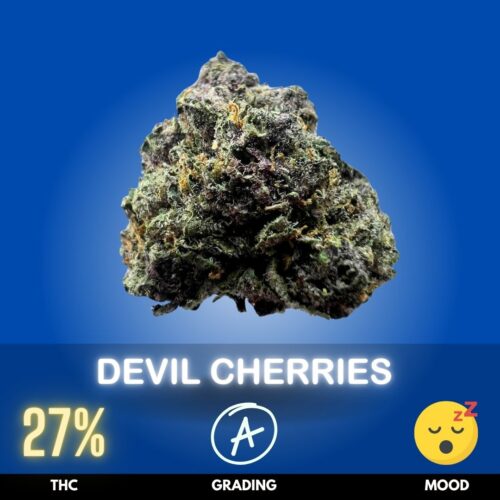 Devil Cherries packs a THC level around 27% (up to ~32%).