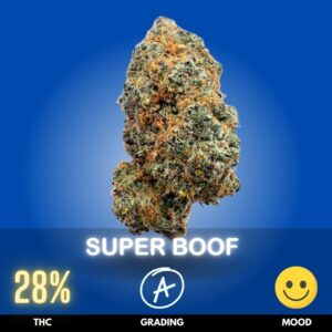 Super Boof typically carries a THC level around 28 %