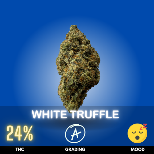 White Truffle
