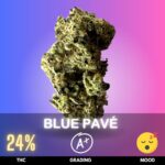 Blue Pavé is a luxurious indica-dominant hybrid celebrated for its deep blue hues and dessert-forward aroma. Typically testing around 24% THC