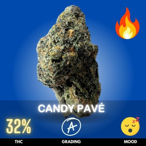Candy Pavé is an exotic indica‑dominant hybrid cannabis strain celebrated for its sweet, dessert‑like aroma and potent effects. With THC levels often ranging over 30%