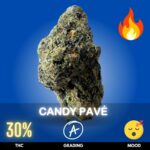 Candy Pavé is an indica‑dominant hybrid cannabis strain celebrated for its sweet, dessert‑like aroma and potent effects. With THC levels often ranging over 30%