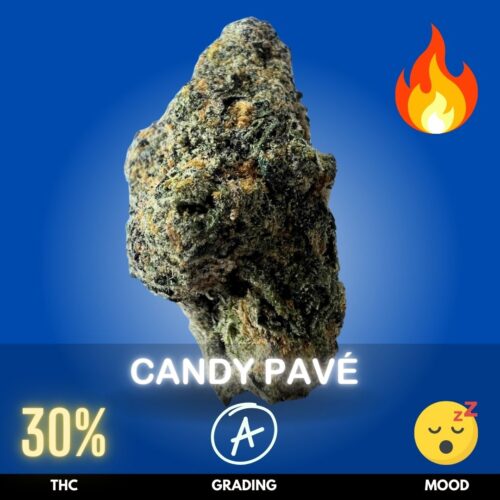 Candy Pavé is an indica‑dominant hybrid cannabis strain celebrated for its sweet, dessert‑like aroma and potent effects. With THC levels often ranging over 30%