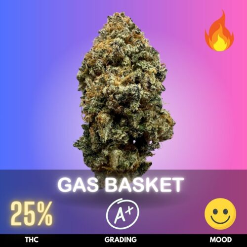 Gas Basket is a standout indica-dominant hybrid cannabis strain, crafted by Exotic Genetix by crossing Gary Payton with Baker’s Dozen. This robust cultivar leans 70% Indica and 30% Sativa, delivering a potent yet approachable THC content of 25%