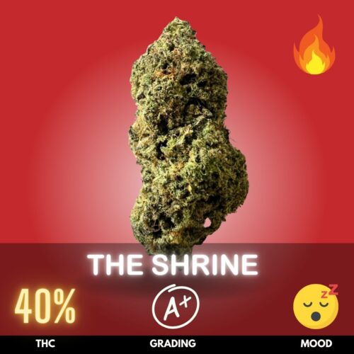 The Shrine is an ultra-potent Indica-dominant hybrid that commands respect—clocking in at a staggering 40% THC