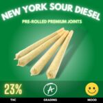 New York Sour Diesel is a vibrant, Sativa-dominant hybrid known for its energetic high and sharp, fuel-like aroma. THC levels typically range from 20% to 26%
