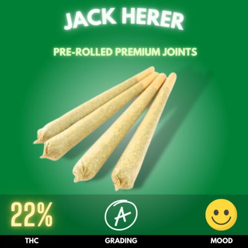 Jack herer is a legendary sativa-dominant hybrid that combines uplifting energy with a clear-headed, focused high. Named after the renowned cannabis activist and author, this strain typically contains thc levels around 18–24%
