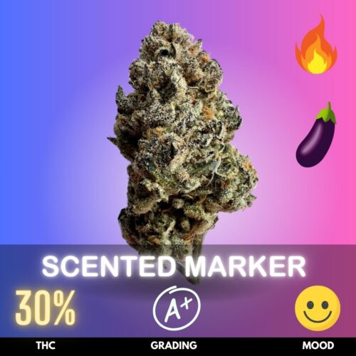 Scented marker is a vibrant and aromatic cannabis strain celebrated for its colorful buds and uplifting effects. This strain is sativa-dominant and typically tests around thc levels of 30%