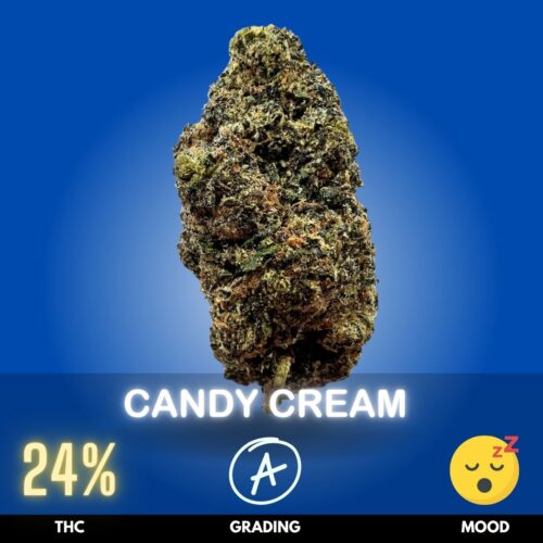 Candy Cream is a luscious Indica-dominant hybrid strain known for its dessert-like profile and deeply soothing effects. With a THC level of 24%