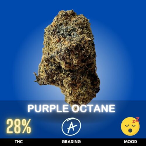 Purple Octane is a powerful Indica-dominant hybrid strain known for its heavy potency and fuel-forward terpene profile. With THC levels around 28%