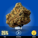 RS11, also known as Rainbow Sherbet #11, is a premium hybrid strain with a slight Indica dominance, typically testing around 25% THC