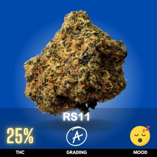 RS11, also known as Rainbow Sherbet #11, is a premium hybrid strain with a slight Indica dominance, typically testing around 25% THC